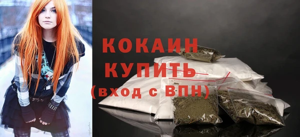 дживик Верхний Тагил