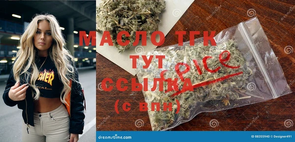 индика Волосово