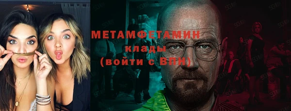 индика Волосово