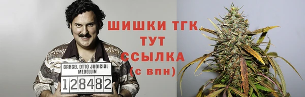 сатива Володарск