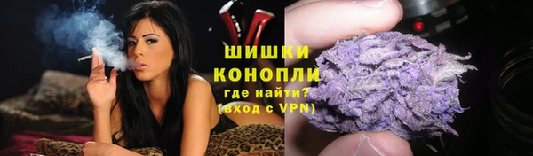 индика Волосово