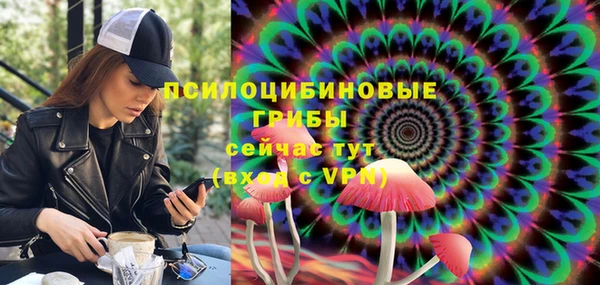 гидра Волоколамск