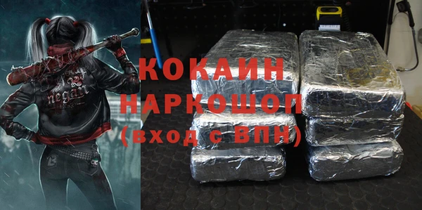индика Волосово