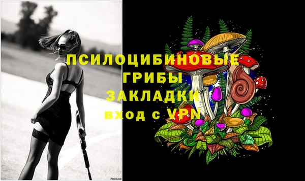 индика Волосово