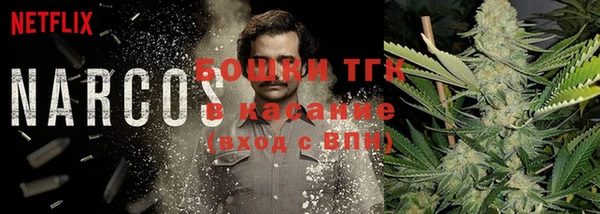 гидра Волоколамск