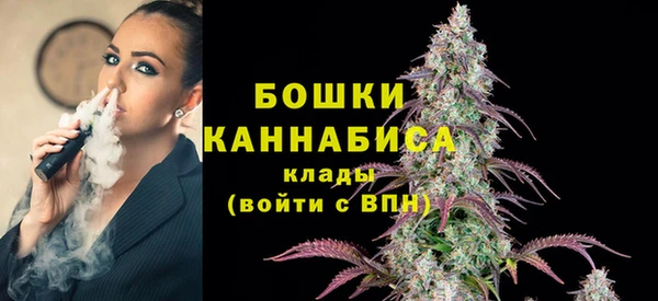 сатива Володарск
